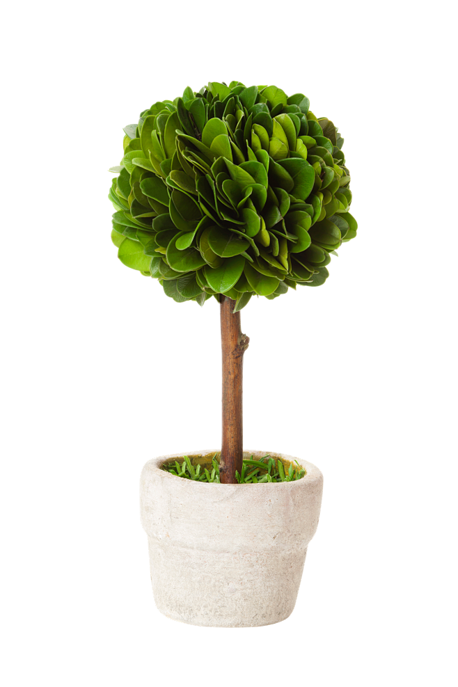 植物盆栽盆景png