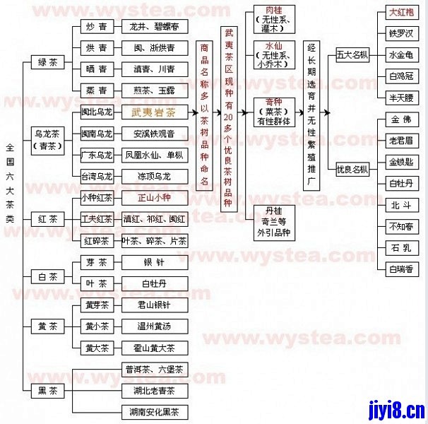 一张图搞清楚中国茶叶分类 - 思维导图 - 记忆吧 - Powered by Discuz!