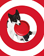 【精华】一点，一个圈 | Target 2015品牌