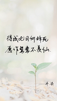 云夕潇潇采集到文心
