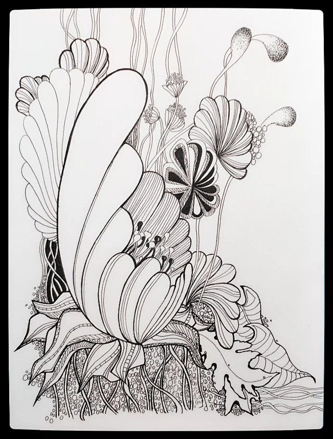 1-花瓣网|陪你做生活的设计师 | 插画 线稿 黑白‖彩色 装饰画 手绘