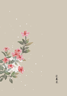 芍药居一霸采集到不知道叫啥名