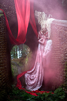 湖畔阴影采集到克里斯蒂·米切尔(Kirsty Mitchell),英国摄影师