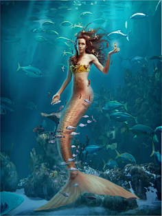 蓝月雪融采集到Mermaid