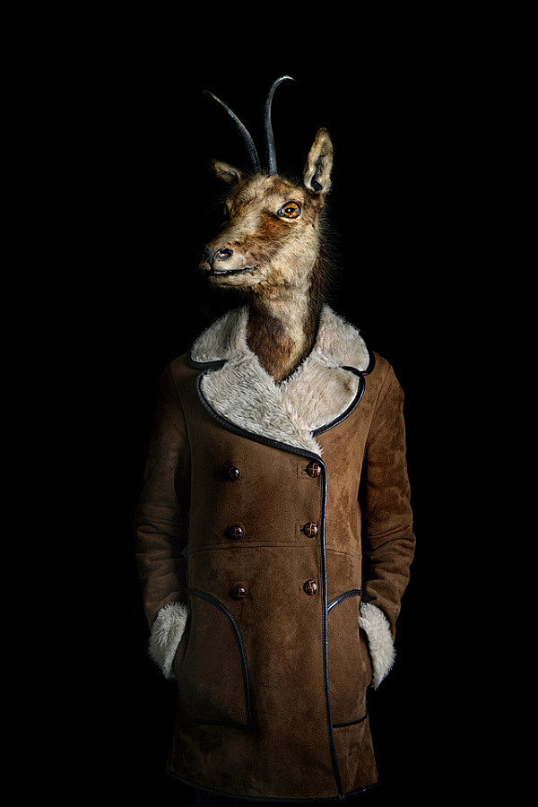 动物拟人皮衣羊头站着羊头人