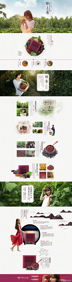 我是逗逗001采集到食品网页首页