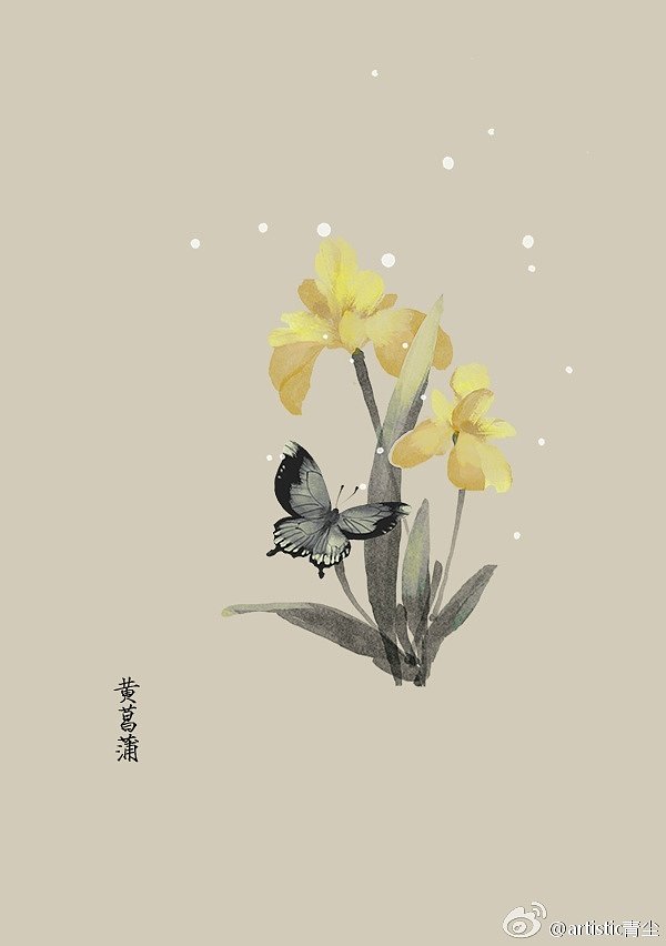 365天生日花 6月6日黄菖蒲 Yellow Iris 花语 信者之福