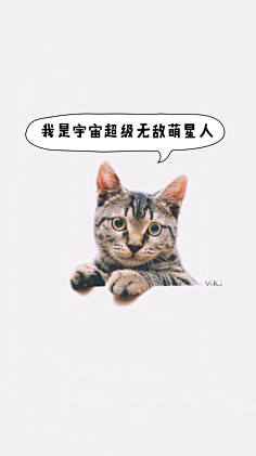 图饭sir采集到【动物~猫咪鹿手机壁纸】