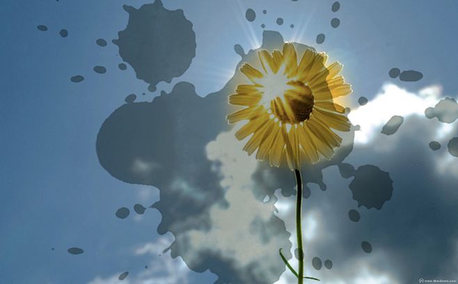 ps笔刷怎么导入-ps笔刷:10种墨水飞溅- Mac下