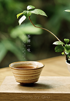 弓长云采集到茶文化