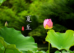 花瓣采集到花瓣说民俗