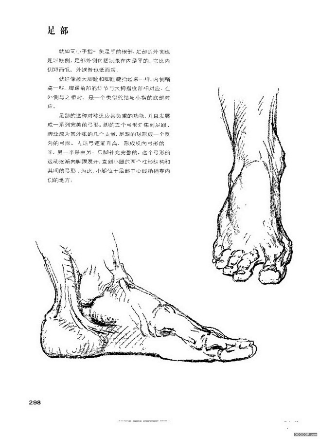 伯里曼人体结构绘画301jpg