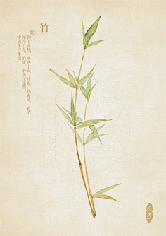 夏明采集到那些花儿