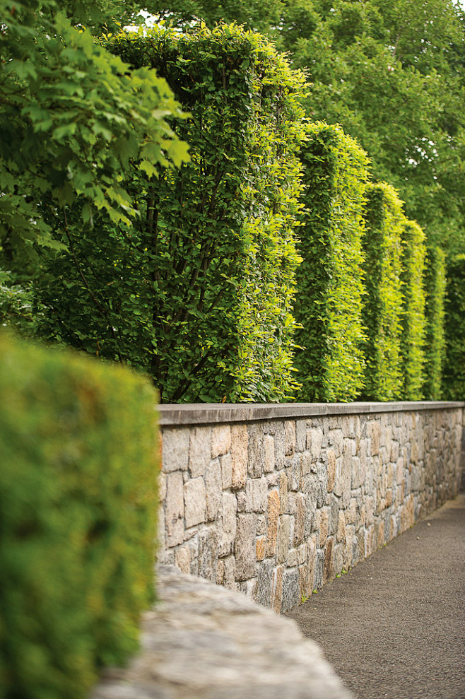 景观绿篱植物设计图集下载绿墙模纹花坛法式