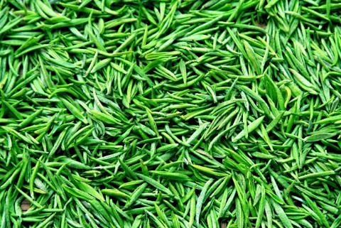 信阳毛尖是什么茶 美厨邦