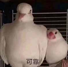 江苏陈冠希采集到表情包