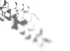 yki采集到素材