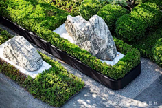 入冬阳光采集到植物造景
