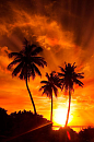 马尔代夫的绝美夕阳