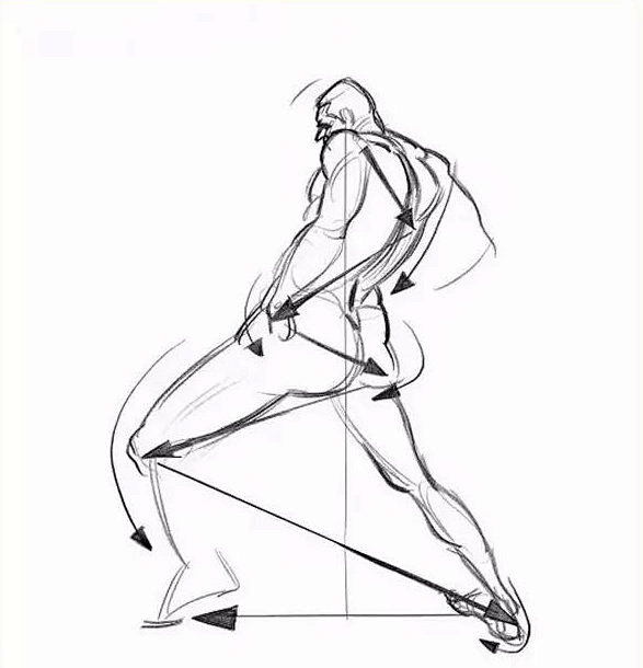 人体构成速写动态线