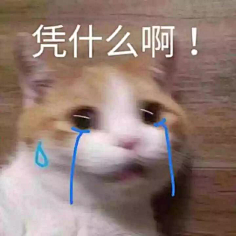吾名燕采集到表情包