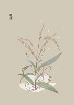 芍药居一霸采集到不知道叫啥名