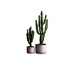 木和水采集到植物