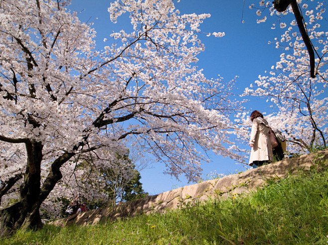 像看电影一样看京都-长腿叔叔的相册