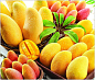 【芒果】
美化肌肤。由于芒果中含有大量的维生素，因此经常食用芒果，可以起到滋润肌肤的作用。