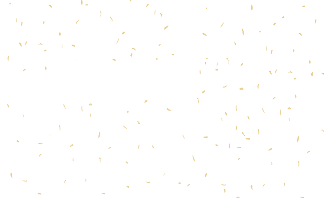 新年金粉