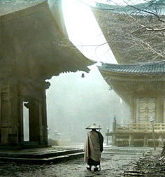 の蘫采集到美文美图