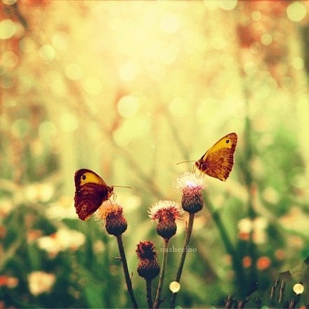 世界上只有一种真正的英雄主义,那就是认识了