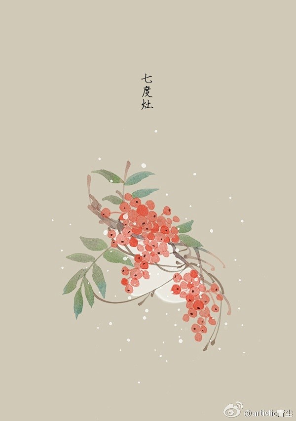 365天生日花 1月27日七度灶 Mountain Ash 花语 坚固