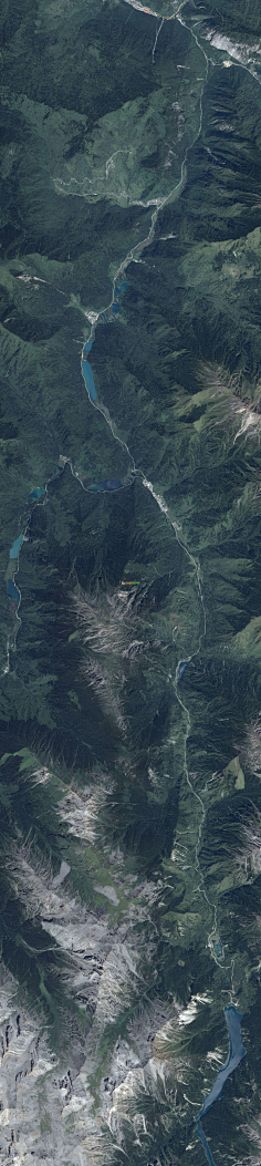 TUToc采集到背景、肌理