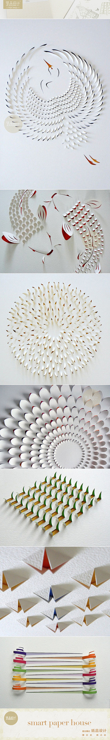 纸品设计澳大利亚艺术家lisarodden精美的手工剪纸艺术精密的规划切割