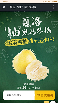 mintpatty采集到网页-手机端/小东西