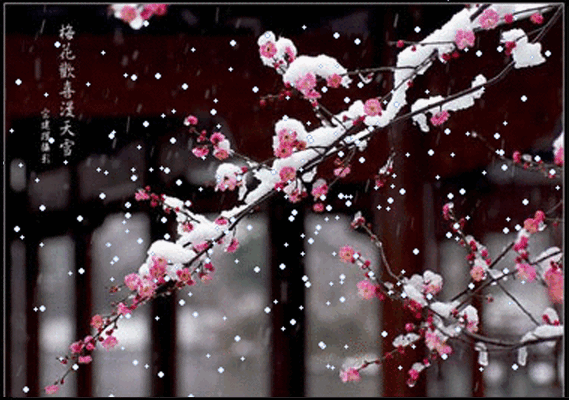 栏工具采集于2015-04-28 05:42:011喜欢动态图库六月幽雪同采自image