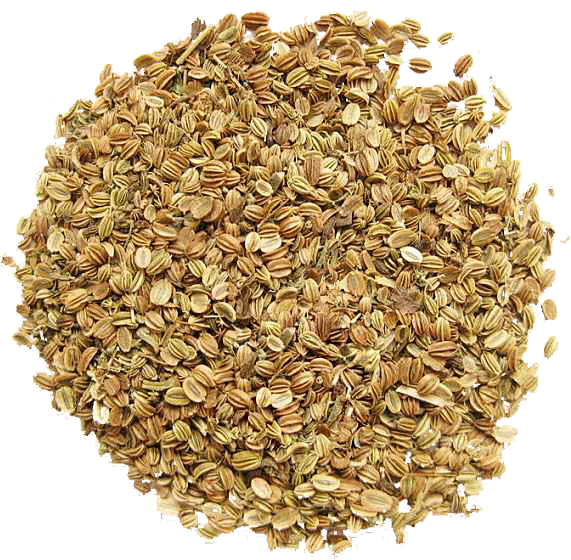 蛇床子 中药 药材 素材