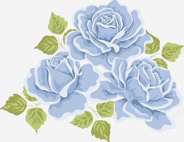 蓝色玫瑰花的画法图片