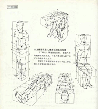 老妇女采集到人体结构