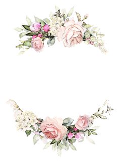 我爱学习zz采集到手绘水彩花环PNG