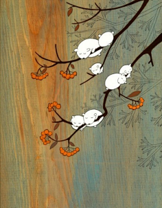 小呱采集到插话