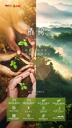 一江小鱼采集到日篇