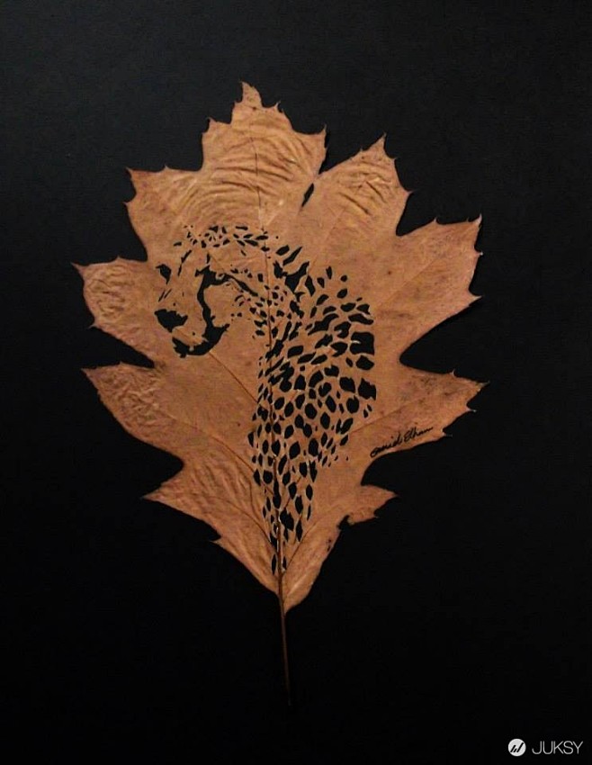唯美树叶雕刻画图片精巧的手艺雕画艺术品