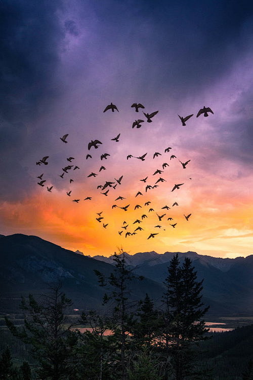 樊非凡从sans-soleil转采于2016-11-30 20:35:10canada景樊非凡同采自