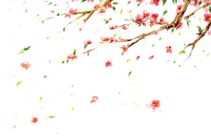 拂愿采集到免扣素材