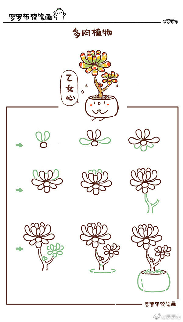 画个水彩多肉手帐吧12图罗罗布简笔画又到了多肉美丽的季节呢6867