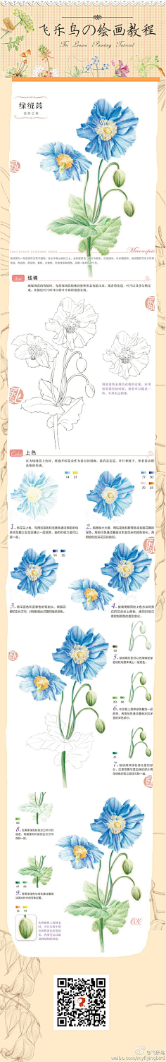 大猩猩-X采集到花儿