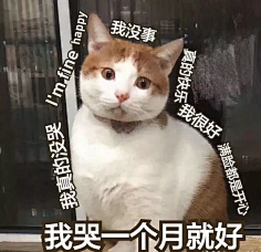 天佑切尔西采集到沙雕表情包