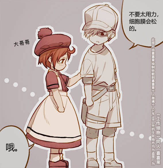 工作细胞红细胞白血球